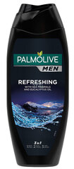 Мужской гель для душа Palmolive Men Refreshing, 500 мл цена и информация | Масла, гели для душа | pigu.lt