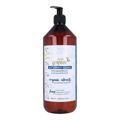 Šampūnas nuo pleiskanų Pure Green Anti-dandruff Shampoo Pure Green, 1000 ml цена и информация | Шампуни | pigu.lt