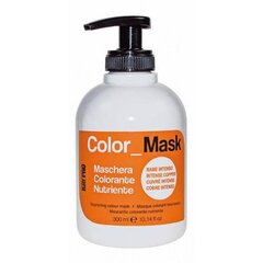 KEPRO Kay Pro COLOR_MASK Питательная цветная маска - ИНТЕНСИВНАЯ МЕДЬ 300 мл цена и информация | Краска для волос | pigu.lt