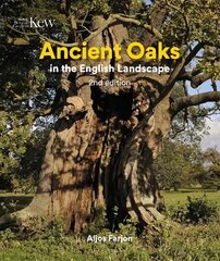 Ancient Oaks in the English Landscape New edition kaina ir informacija | Enciklopedijos ir žinynai | pigu.lt