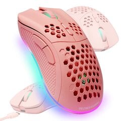 BELAIDĖ PELĖ HIBRIDINĖ RGB 4800 ROŽINĖ KOMPIUTERIO PELĖ ŽAIDĖJAMS цена и информация | Мыши | pigu.lt