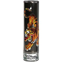 Туалетная вода Christian Audigier Ed Hardy Men's edt 100 мл цена и информация | Мужские духи | pigu.lt