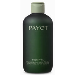 Plaukų šampūnas Payot Essentiel, 280 ml kaina ir informacija | Šampūnai | pigu.lt