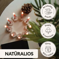 BlueBee Candles bičių vaško žvakės su dviem stoveliais, 40 vnt. цена и информация | Подсвечники, свечи | pigu.lt