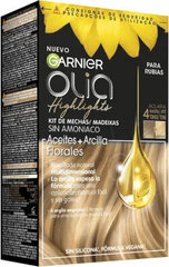 Краска без содержания аммиака Garnier Olia Highlights цена и информация | Краска для волос | pigu.lt