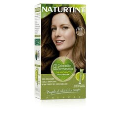 Постоянная краска Naturtint Naturtint 6.31 marrón almendra intenso Без аммиака, 170 мл цена и информация | Краска для волос | pigu.lt