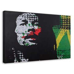 Paveikslas Bobas Marley цена и информация | Репродукции, картины | pigu.lt