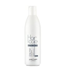 Šampūnas Postquam Haircare Ultra White Grey Hair, 250 ml kaina ir informacija | Šampūnai | pigu.lt