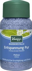 Kneipp Mineral Bath Salt Pure Relaxation соль для ванны 500 г цена и информация | Масла, гели для душа | pigu.lt