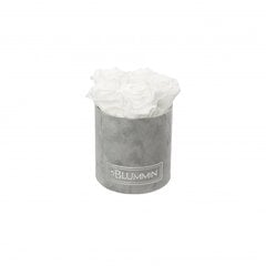 Stabilizuotos rožės Blummin – Midi light grey velvet / White kaina ir informacija | Miegančios rožės, stabilizuoti augalai | pigu.lt