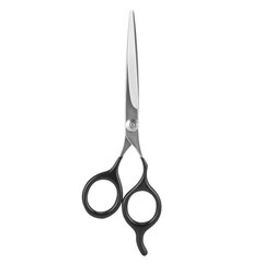Ножницы Beter из нержавеющей стали, 15 см цена и информация | Расчески, щетки для волос, ножницы | pigu.lt