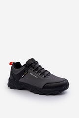 Men's Gray Trekking Shoes McBraun 30813-R цена и информация | Кроссовки для мужчин | pigu.lt