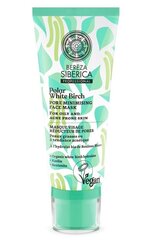 Poras mažinanti veido kaukė Natura Siberica Polar White Birch, 100 ml kaina ir informacija | Veido kaukės, paakių kaukės | pigu.lt