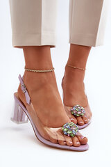 Transparent Sandals with Ornament Purple D&A MR38-454 31086-21 цена и информация | Босоножки женские | pigu.lt