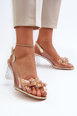 Transparent sandals on a stiletto with golden ornaments D&A MR38-D1 31096-21 цена и информация | Женские босоножки | pigu.lt