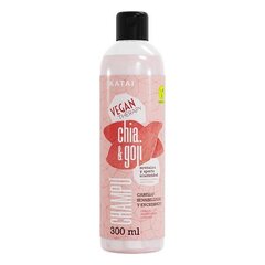 Šampūnas Chia &amp; Goji Pudding Katai, 300 ml цена и информация | Шампуни | pigu.lt