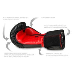 Боксерские перчатки DBX Bushido ARB, 10 oz цена и информация | Боевые искусства | pigu.lt