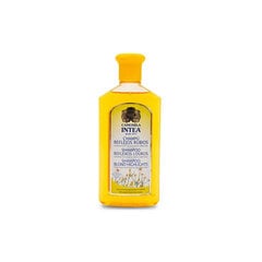Camomila Intea ramunėlių šampūnas šviesiems plaukams, 250 ml. kaina ir informacija | Šampūnai | pigu.lt