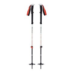 Ėjimo lazdos Black Diamond Expedition 2, 145 cm, juoda/balta kaina ir informacija | Ėjimo lazdos | pigu.lt