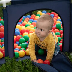 Квадратный манеж Selonis Square Play Pen Filed с 100 мячами, синий: черный/белый/красный/голубой цена и информация | Манежи для детей | pigu.lt