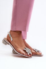 Transparent sandals with low heel and silver ornament D&A MR38-383 31648-21 цена и информация | Женские босоножки | pigu.lt