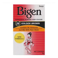 Ilgalaikiai dažai Bigen Nº26, 6 g kaina ir informacija | Plaukų dažai | pigu.lt