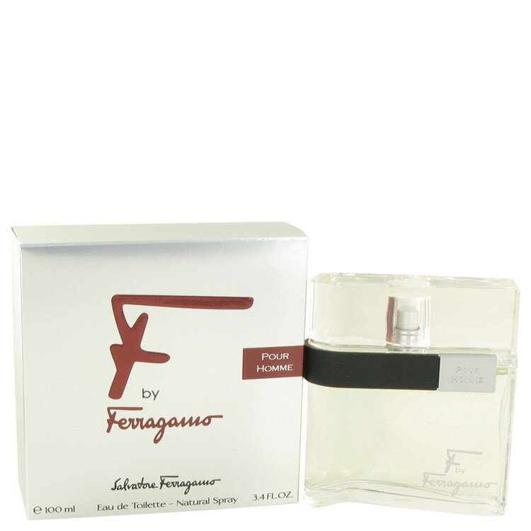 Tualetinis vanduo Salvatore Ferragamo F by Ferragamo Homme EDT vyrams 100 ml цена и информация | Kvepalai vyrams | pigu.lt