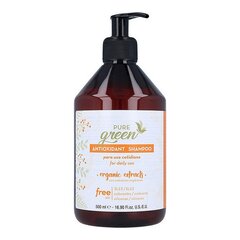 Plaukų šampūnas Pure Green Antioxidant Shampoo, 500 ml kaina ir informacija | Šampūnai | pigu.lt