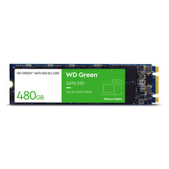 Внутренний жесткий диск Western Digital WDS480G3G0B 480 ГБ BFNBBS55146900 цена и информация | Внутренние жёсткие диски (HDD, SSD, Hybrid) | pigu.lt