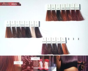 Постоянная краска Color Touch Wella Nº 66/44 (60 мл) цена и информация | Краска для волос | pigu.lt