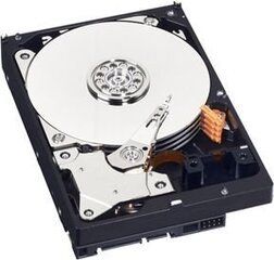 Western Digital WD Blue 1TB 5400RPM SATA3 64MB (WD10EZRZ) kaina ir informacija | Vidiniai kietieji diskai (HDD, SSD, Hybrid) | pigu.lt