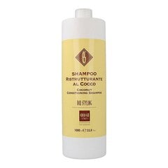 Šampūnas Alterego Bio Styling Coconut Shampoo, 1000 ml kaina ir informacija | Šampūnai | pigu.lt