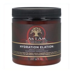 Kondicionierius As I Am Hydration Elation Intensive Conditioner, 227 g kaina ir informacija | Balzamai, kondicionieriai | pigu.lt