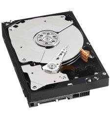 Внутренний жесткий диск Western Digital WD5003AZEX Black HDD 500GB 2.5" 7200RPM SATA3 64MB цена и информация | Внутренние жёсткие диски (HDD, SSD, Hybrid) | pigu.lt