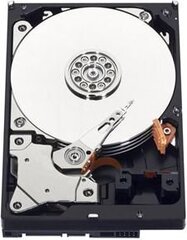 Western Digital WD Blue 500GB (WD5000AZLX) цена и информация | Внутренние жёсткие диски (HDD, SSD, Hybrid) | pigu.lt