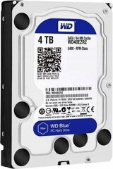 Western Digital WD40EZAZ kaina ir informacija | Vidiniai kietieji diskai (HDD, SSD, Hybrid) | pigu.lt