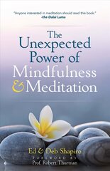 Unexpected Power of Mindfulness and Meditation kaina ir informacija | Saviugdos knygos | pigu.lt