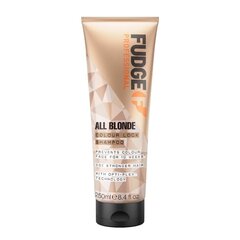 Šampūnas šviesiems plaukams Fudge All Blonde Color Boost Shampoo, 250ml kaina ir informacija | Šampūnai | pigu.lt