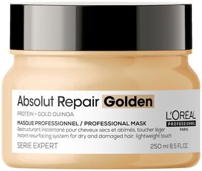 Kaukė pažeistiems plaukams L'Oreal Serie Expert Absolut Repair Golden Quinoa + Protein 250 ml kaina ir informacija | Priemonės plaukų stiprinimui | pigu.lt