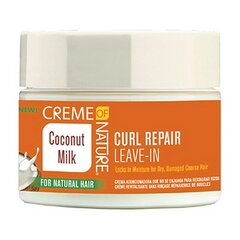 Plaukų kremas Creme Of Nature Reapir Leave In, 326 g kaina ir informacija | Priemonės plaukų stiprinimui | pigu.lt