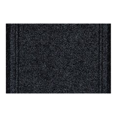 Rugsx durų kilimėlis Malaga, 66x500 cm kaina ir informacija | Durų kilimėliai | pigu.lt