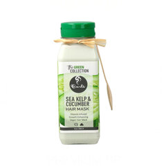 Plaukų kaukė Curls The Green Collection Sea Kelp &amp; Cucumber, 236 ml kaina ir informacija | Priemonės plaukų stiprinimui | pigu.lt