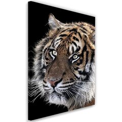 Reprodukcija Tigras juodame fone kaina ir informacija | Reprodukcijos, paveikslai | pigu.lt