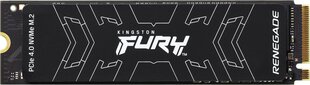 Kingston SFYRS/1000G цена и информация | Внутренние жёсткие диски (HDD, SSD, Hybrid) | pigu.lt