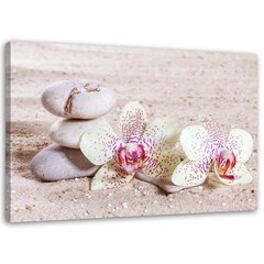 Paveikslas Orchidėja ir akmenys ant smėlio kaina ir informacija | Reprodukcijos, paveikslai | pigu.lt