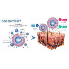 Liposominis valiklis Sesderma Sensyses Sebum, 200 ml kaina ir informacija | Veido prausikliai, valikliai | pigu.lt