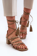 Lace-Up Sandals With Low Heels Adorned with Studs Green Chrisele 31974-21 цена и информация | Женские босоножки | pigu.lt