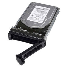 Dell 400-AUPW kaina ir informacija | Vidiniai kietieji diskai (HDD, SSD, Hybrid) | pigu.lt