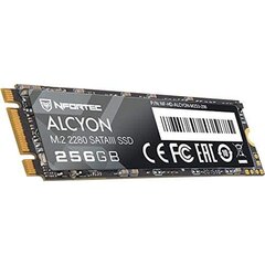 Жесткий диск Nfortec Alcyon M.2 SSD SATAIII цена и информация | Внутренние жёсткие диски (HDD, SSD, Hybrid) | pigu.lt