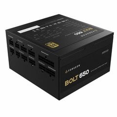 Forgeon Bolt 650 kaina ir informacija | Maitinimo šaltiniai (PSU) | pigu.lt